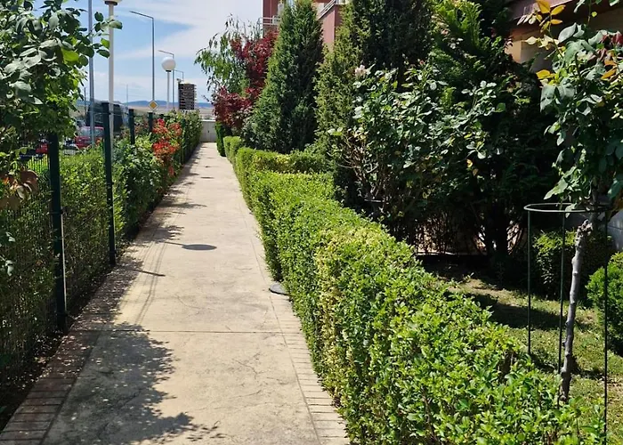 Sun Travel Sunny * Slantschew brjag