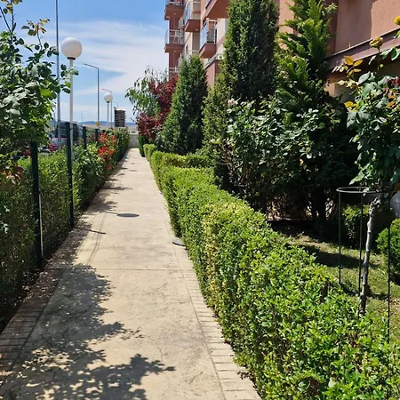 Sun Travel Sunny * Slantschew brjag